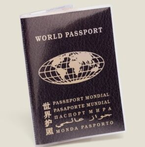 Паспорт мира
